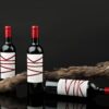 Masterclass Un italiano, un norvegese e un americano vanno in Cile – Non è una barzelletta: due vigne iconiche cilene