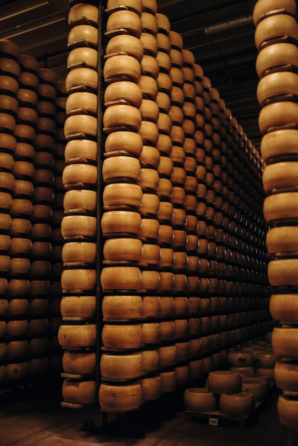 Esperienze Speak Corner di APR Assaggiatori Parmigiano Reggiano