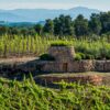 fincas-unicas-y-vinos-singulares Masterclass Vinos Blancos en Grandes Pagos de España – Cata di 7 bodegas