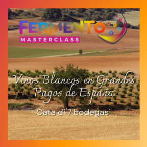 Masterclass Vinos Blancos en Grandes Pagos de España – Cata di 7 bodegas