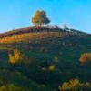 img19 Masterclass Le Vigne del Buttafuoco Storico: il terroir racconta il vino – Ghiaie, Arenarie, Argille