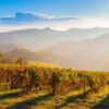 img9 Masterclass Le Vigne del Buttafuoco Storico: il terroir racconta il vino – Ghiaie, Arenarie, Argille
