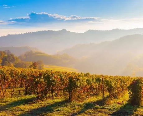 img9 Masterclass Le Vigne del Buttafuoco Storico: il terroir racconta il vino – Ghiaie, Arenarie, Argille